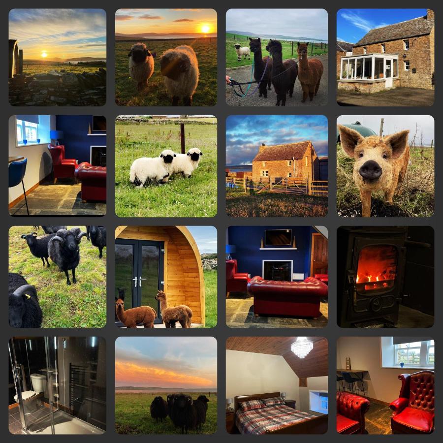 Orkney Farm Bothy Villa Stromness Ngoại thất bức ảnh